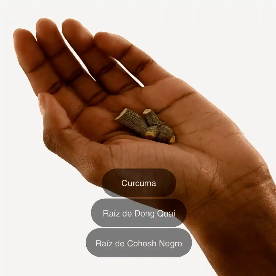 ¡PRODUCTO EXCLUSIVO! PARCHES PARA LA MENOPAUSIA- ALIVIA SINTOMAS DE LA MENOPAUSIA